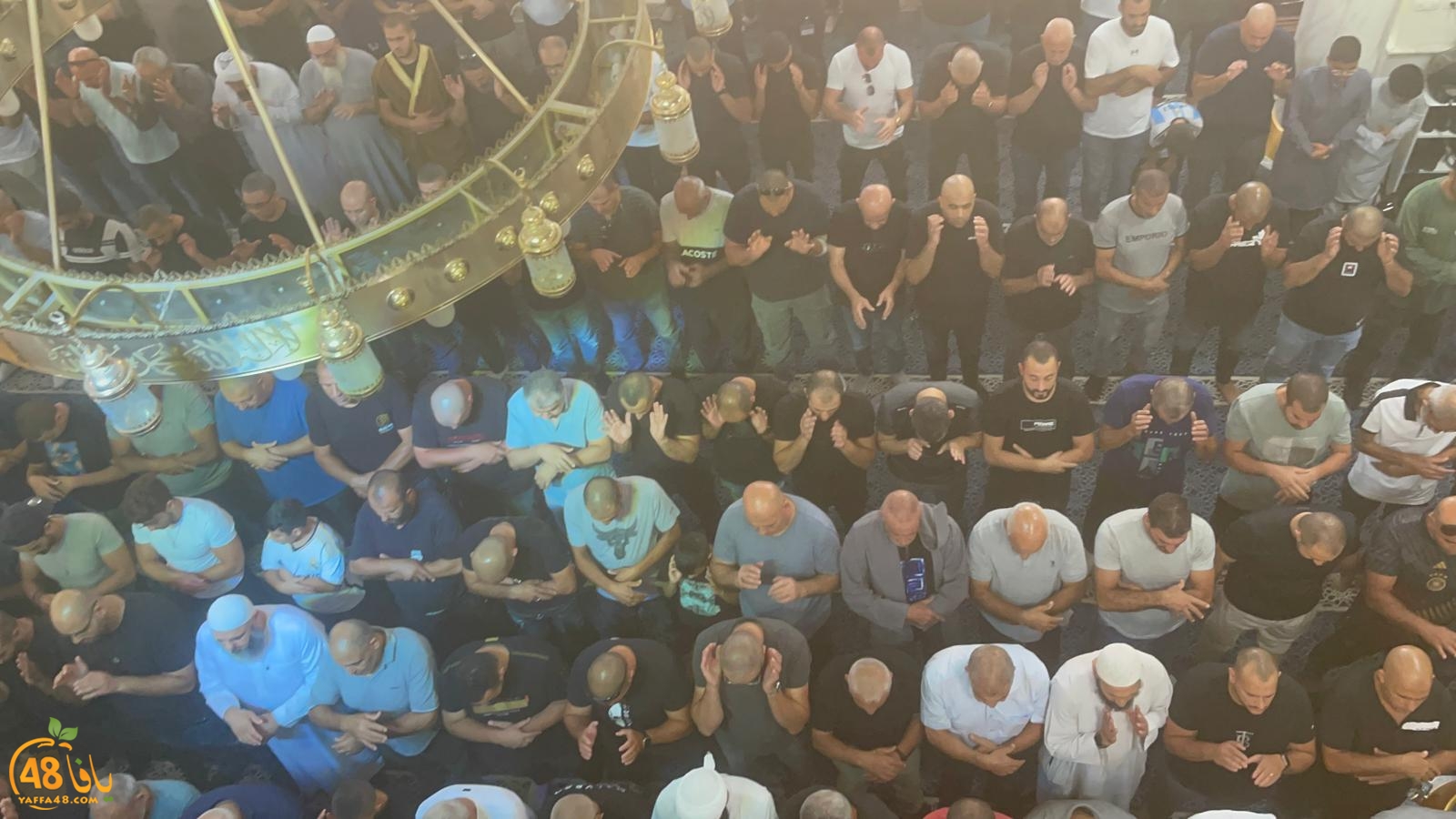 WhatsApp Image 2023-10-12 at 12.00.16 PM (1).jpeg